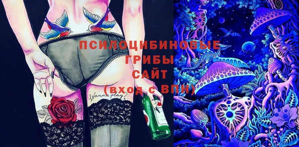 первитин Армянск