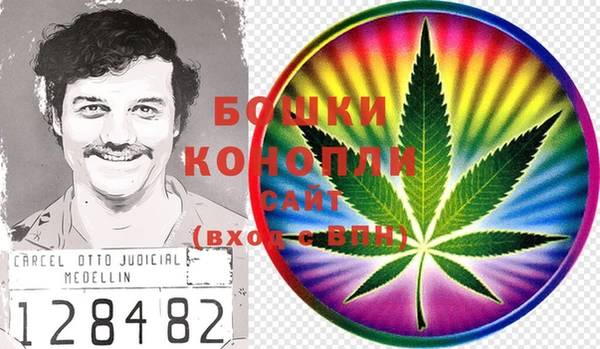 дурь Арсеньев