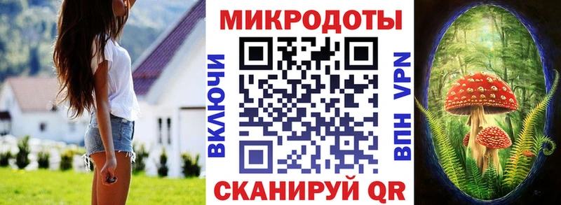купить наркоту  Белоусово  Галлюциногенные грибы Psilocybe 
